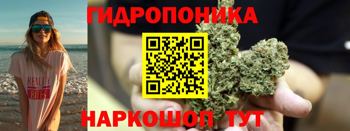 Шишки марихуана VHQ  МАРИХУАНА ГИДРОПОН  Марихуана Bruce Banner  Вход с VPN  Советский 
